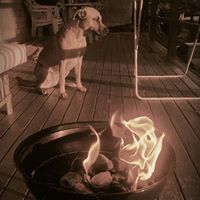 John Wicks Photo 17