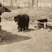 Earnest Peterson Photo 16