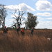 Graham Hunt Photo 13