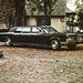 Lincoln Peterson Photo 1
