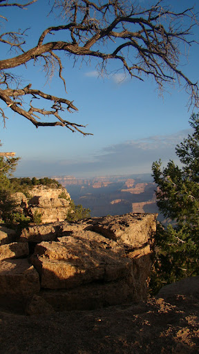 Carol Marsh Photo 28