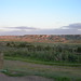 Theodore Mckenzie Photo 13