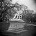 Charles Hull Photo 19