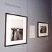 John Cohen Photo 24