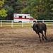 Crystal Briggs Photo 35