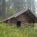 Dale Garnett Photo 8