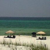 Rhonda Spivey Photo 8