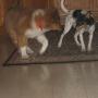 Janice Snyder Photo 29