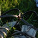 Sarah Gravely Photo 13