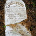 Ellen Shaw Photo 45