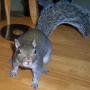 Cindy Rhoads Photo 15