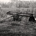 Sharon Roller Photo 12