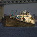 John Caddell Photo 11