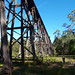 Rebecca Bridges Photo 21