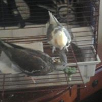 Cynthia Winslow Photo 15