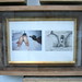 Susan Bruce Photo 16