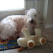 Bob Roberson Photo 12