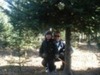 Joe Beck Photo 18
