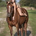 Robyn Brown Photo 39