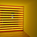Michael Flavin Photo 30