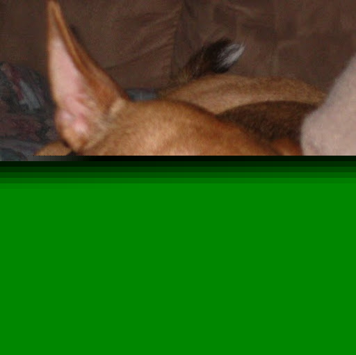 Shawn Workman Photo 5