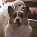 Beth George Photo 14