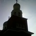Steven Tolbert Photo 15