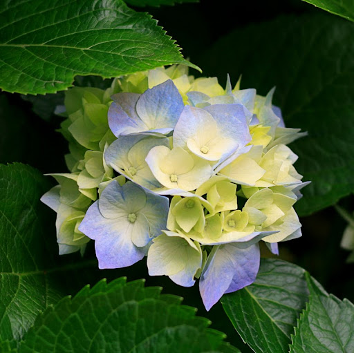 Christina Rogers Photo 34