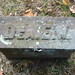 Edward Wilcox Photo 32