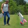 John Ashmore Photo 29