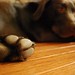 Hunter Jenkins Photo 33