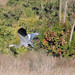 Vicki Heron Photo 8