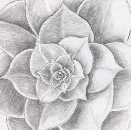 Ann Cole Photo 43
