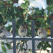 Larry Sparrow Photo 20