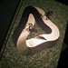 David Eccles Photo 24