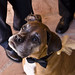 Stacey Adams Photo 40