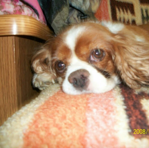 Sandra Stauffer Photo 28