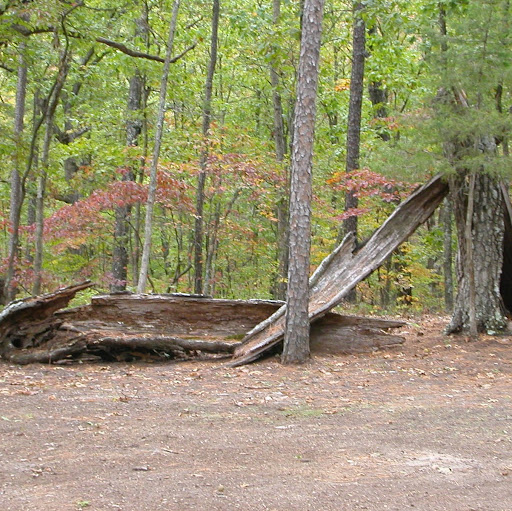 David Toombs Photo 11