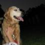 Alyssa Plummer Photo 12