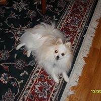 Sharon Knudsen Photo 15