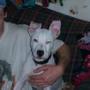 Sammy Ball Photo 21