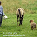 Annette Shepherd Photo 17