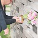 James Altieri Photo 12