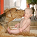 Mark Stahl Photo 28