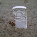 James Vanwinkle Photo 8