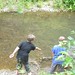 Stephen Alder Photo 18