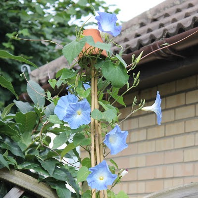 Christine Newton Photo 41