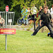 Daniel Strandberg Photo 11