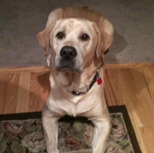 Darcy Olander Photo 5