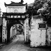 Cu Tran Photo 14